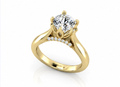 Fiora round solitaire in yellow gold